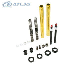 RERACE CP-1 ProtgtH[NptH[}XCi[`[uLbgS[h 4^ 5^VOiXX CYGNUS X BWS