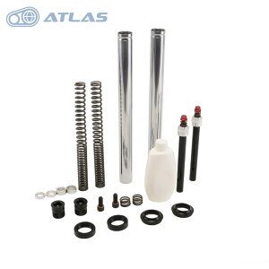 RERACE CP-1 Pro tgtH[NptH[}XCi[`[uLbg Vo[ MAJESTY S }WFXeBS