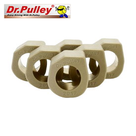 Dr.Pulley ドクタープーリー スライディングウェイトローラー φ16×13 7.0g 6個セット