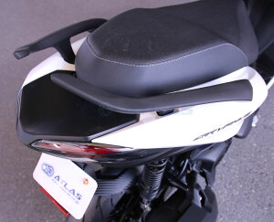 E-GIN 6^VOiXOt@X CYGNUS GRYPHUS Ouo[ Zbg Anh X|C[ }bgubN 