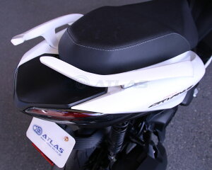 E-GIN 6^VOiXOt@X CYGNUS GRYPHUS Ouo[ Zbg Anh X|C[ zCg 