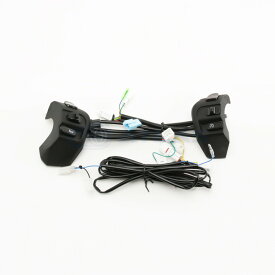 LIGHT MASTER 6型CYGNUS シグナスグリファス GRYPHUS ハンドルスイッチセット