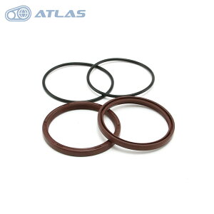 WF 6^VOiX Ot@X CYGNUS GRYPHUS A~ZJ_[ CpICV[ OOZbg