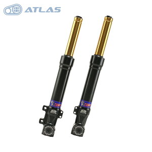 SavageBull 6^VOiX Ot@X CYGNUS GRYPHUS SR-SS2.0 tgtH[N LpT|[gZbg ubNS[h