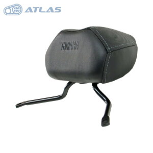 p}n 6^ VOiX Ot@X CYGNUS GRYPHUS obNXg ubN B8R-QF481-00