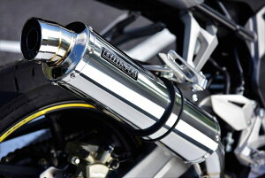 BEAMS CBR250RR }t[ G177-53-P6J 2017~ 2BK-MC51 R-EVO XbvI XeX r[X