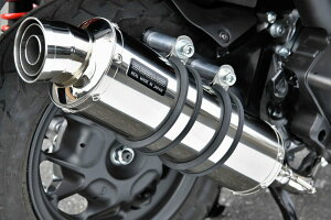 BEAMS G1011-53-008 LEAD125 [h 8BJ-JK12 tGL R-EVO XeX r[X }t[