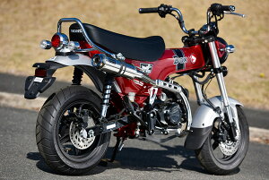 BEAMS G1026-56-008 DAX125 _bNX 8BJ-JB06 R-EVO TYPE C XeXTCT[ r[X }t[