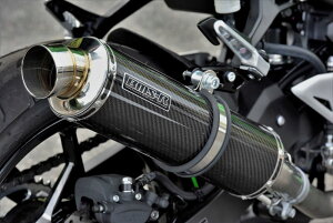 BEAMS G433-53-P2J NINJA250 8BK-EX250Y/2BK-EX250P XbvI R-EVO J[{ r[X }t[