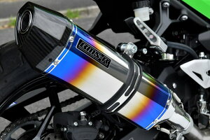 BEAMS G433-65-P6J NINJA250 8BK-EX250Y/2BK-EX250P XbvI CORSA-EVO2 q[g`^ r[X }t[