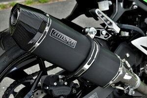 BEAMS G433-63-P7J NINJA250 8BK-EX250Y/2BK-EX250P XbvI CORSA-EVO2 MBK }bgubN r[X }t[