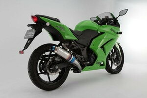 BEAMS }t[ G409-53-P1J Ninja250R jW '08~'12 R-EVOXbvI q[g`^TCT[ JMCA r[X