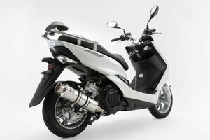 BEAMS }t[ G234-10-000 MAJESTY S }WFXeB S SS400\jbNSP r[X