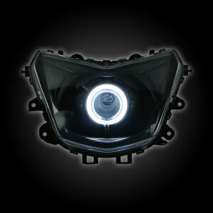 GAMMAS 4^VOiXX CYGNUS X wbhCg+PVCCJO LED 50W 6000K Rv[gLbg