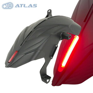 APEXX 6�^�V�O�i�X�O���t�@�X CYGNUS GRYPHUS LED�t�G�A���}�b�h�K�[�h ���A�t�F���_�[