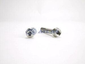 Star Bolt CNCH wLTSwbh SUS XeX {g M10×70mm P1.25mm