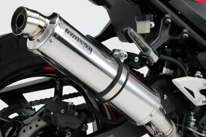 BEAMS G430-53-P3J NINJA250/Z250 2018~ 8BK-EX250Y/2BK-EX250P XbvI R-EVO XeX r[X }t[