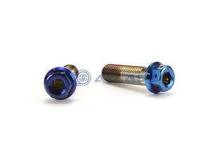 JSM Star Bolt CNC加工 ヘキサゴンヘッド SUS PVDチタンコート ボルト M10×35mm P1.25mm 焼き色ブルー仕上げ