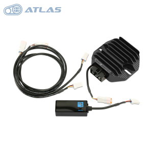 RealEnergy R6+ d@\t ቷMOSFET^CvM[^[ 30A dvZbg ubN