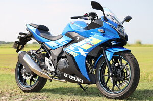 SP TADAO SPj}t[ SUZUKI GSX250R(8BK-DN12B) POWERBOX pCv VS2-PB-11
