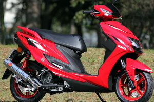 SP TADAO SPj }t[ CY1-GE-55 18~VOiXX 2BJ-SED8J EBJ-SEA5J CYGNUS X PURESPORT R SUS tGL