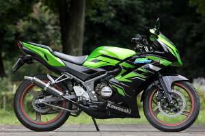 SP TADAO SPj }t[ Ninja150RR KR15 WbJ`o[ NI1-CS-01