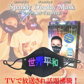 Sparkly Display Mask スパークリーディスプレイマスク LEDマスク 光るマスク おもしろマスク 応援グッズ パーティー ハロウィン クリスマスグッズ スポーツ観戦 日本語説明書兼保証書 デザインパッケージ付き フリーサイズ 男女兼用 USB充電式