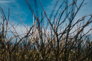 y֗pzA[g{[h/A[gpl artmart A[g}[g A[ĝ݃t[ʔ Gʐ^A~t[ŕ\Bǎ z EH[XebJ[ Ǌ| tHgt[ł̃C