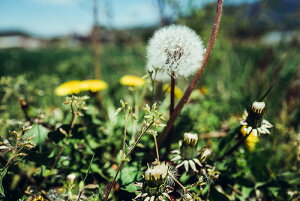 y{zA[g{[h/A[gpl artmart A[g}[g Gʐ^A~t[ŕ\CeAR[fBlCgBǎ z EH[XebJ[ Ǌ| tHgt[ł