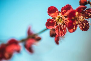 y{zA[g{[h/A[gpl artmart A[g}[g Gʐ^A~t[ŕ\CeAR[fBlCgBǎ z EH[XebJ[ Ǌ| tHgt[ł