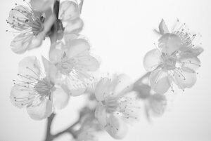 y{zA[g{[h/A[gpl artmart A[g}[g Gʐ^A~t[ŕ\CeAR[fBlCgBǎ z EH[XebJ[ Ǌ| tHgt[ł