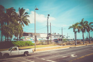 y{zA[g{[h/A[gpl artmart A[g}[g Gʐ^A~t[ŕ\CeAR[fBlCgBǎ z EH[XebJ[ Ǌ| tHgt[ł