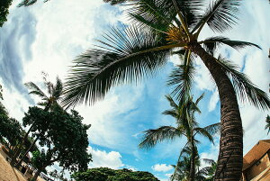 y֗pzA[g{[h/A[gpl artmart A[g}[g A[ĝ݃t[ʔ Gʐ^A~t[ŕ\Bǎ z EH[XebJ[ Ǌ| tHgt[ł̃C