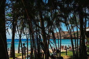 y֗pzA[g{[h/A[gpl artmart A[g}[g A[ĝ݃t[ʔ Gʐ^A~t[ŕ\Bǎ z EH[XebJ[ Ǌ| tHgt[ł̃C