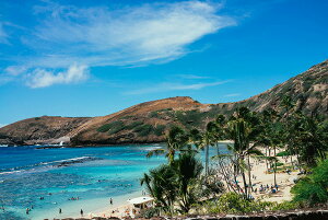 y{zA[g{[h/A[gpl artmart A[g}[g Gʐ^A~t[ŕ\CeAR[fBlCgBǎ z EH[XebJ[ Ǌ| tHgt[ł