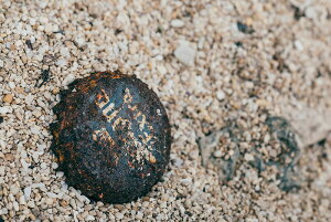 y{zA[g{[h/A[gpl artmart A[g}[g Gʐ^A~t[ŕ\CeAR[fBlCgBǎ z EH[XebJ[ Ǌ| tHgt[ł