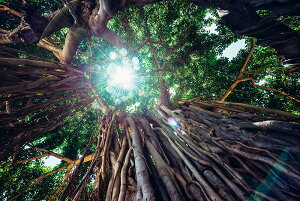 y{zA[g{[h/A[gpl artmart A[g}[g Gʐ^A~t[ŕ\CeAR[fBlCgBǎ z EH[XebJ[ Ǌ| tHgt[ł