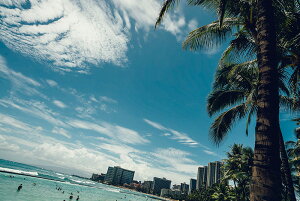 y֗pzA[g{[h/A[gpl artmart A[g}[g A[ĝ݃t[ʔ Gʐ^A~t[ŕ\Bǎ z EH[XebJ[ Ǌ| tHgt[ł̃C