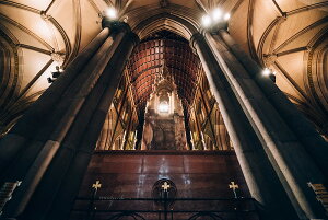 y{zA[g{[h/A[gpl artmart A[g}[g Gʐ^A~t[ŕ\CeAR[fBlCgBǎ z EH[XebJ[ Ǌ| tHgt[ł