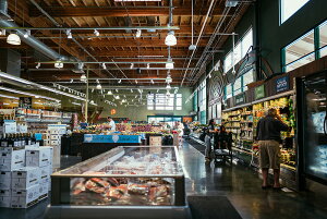 y{zA[g{[h/A[gpl artmart A[g}[g Gʐ^A~t[ŕ\CeAR[fBlCgBǎ z EH[XebJ[ Ǌ| tHgt[ł