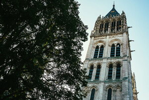 y֗pzA[g{[h/A[gpl artmart A[g}[g A[ĝ݃t[ʔ Gʐ^A~t[ŕ\Bǎ z EH[XebJ[ Ǌ| tHgt[ł̃C