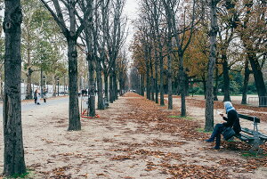 y{zA[g{[h/A[gpl artmart A[g}[g Gʐ^A~t[ŕ\CeAR[fBlCgBǎ z EH[XebJ[ Ǌ| tHgt[ł