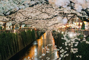 y֗pzA[g{[h/A[gpl artmart A[g}[g A[ĝ݃t[ʔ Gʐ^A~t[ŕ\Bǎ z EH[XebJ[ Ǌ| tHgt[ł̃C