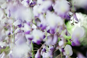 y{zA[g{[h/A[gpl artmart A[g}[g Gʐ^A~t[ŕ\CeAR[fBlCgBǎ z EH[XebJ[ Ǌ| tHgt[ł