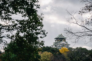 y{zA[g{[h/A[gpl artmart A[g}[g Gʐ^A~t[ŕ\CeAR[fBlCgBǎ z EH[XebJ[ Ǌ| tHgt[ł