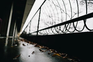 y֗pzA[g{[h/A[gpl artmart A[g}[g A[ĝ݃t[ʔ Gʐ^A~t[ŕ\Bǎ z EH[XebJ[ Ǌ| tHgt[ł̃C