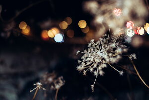 【張替用】アートボード/アートパネル artmart アートマート ※アートのみフレーム別売 絵や写真をアルミフレームで表現。壁紙 額縁 ウォールステッカー 壁掛け フォトフレームでお部屋のイ