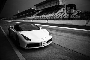 tF[ 488 GTB XpC_[ JX^y֗pzA[g{[h/A[gpl artmart A[g}[g t[ʔ Gʐ^ŕ\Bǎ z EH[XebJ[ tHgt[ŕ̃C