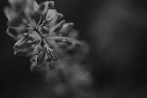 y{zA[g{[h/A[gpl artmart A[g}[g Gʐ^A~t[ŕ\CeAR[fBlCgBǎ z EH[XebJ[ Ǌ| tHgt[ł