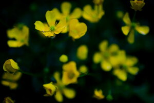 y֗pzA[g{[h/A[gpl artmart A[g}[g A[ĝ݃t[ʔ Gʐ^A~t[ŕ\Bǎ z EH[XebJ[ Ǌ| tHgt[ł̃C